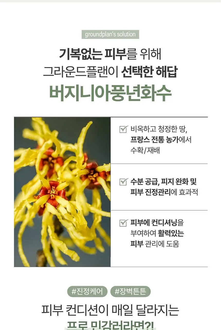 [데일리수분크림] 그라운드플랜 크림 50ml 상세페이지 5